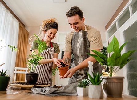 Couple taking care of their houseplants.